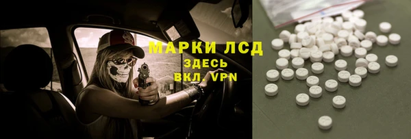 стаф Елизово