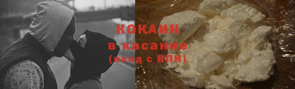 стаф Елизово