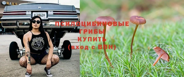 стаф Елизово