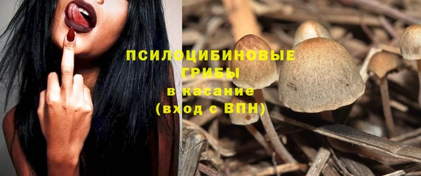 эйфоретик Елабуга