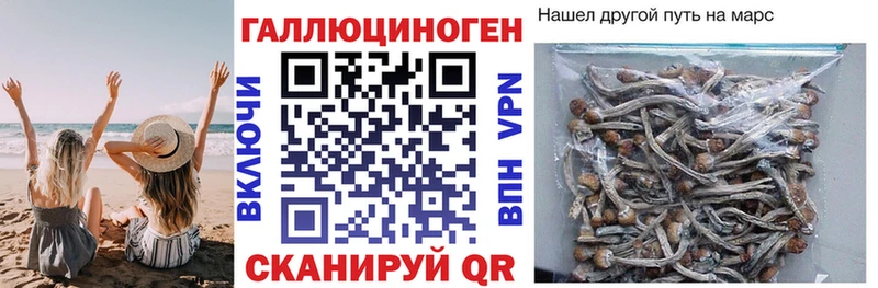 Галлюциногенные грибы Magic Shrooms  Купить  Североморск 